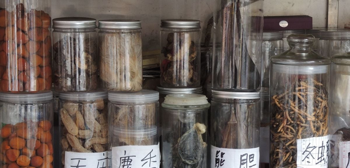 Building sustainability into traditional Chinese medicine trade on the new Silk Roads